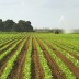 Agriculture solutions